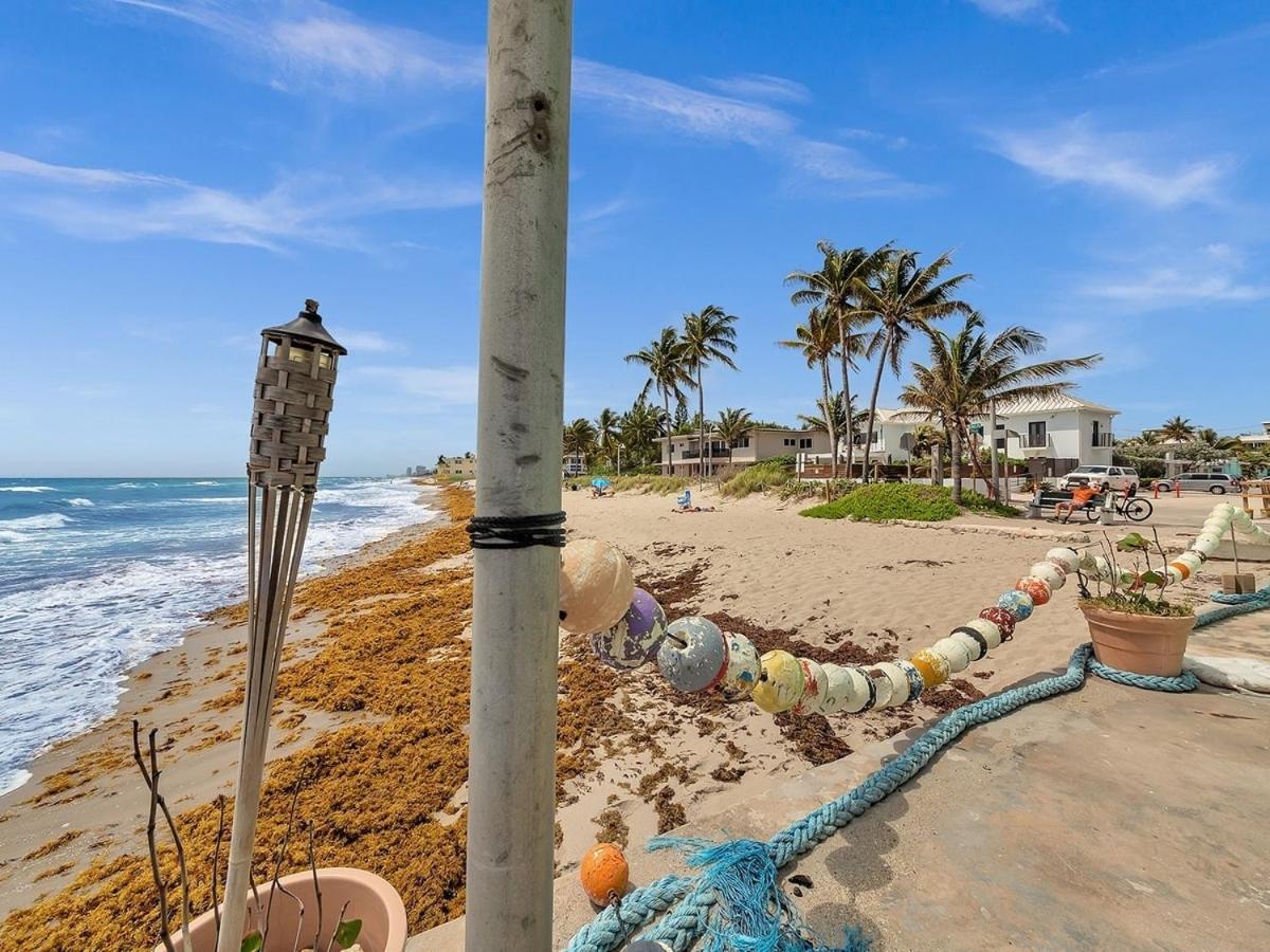 The Shell On Walnut 1Br1Bath Hollywood Beach Free Parking Dania Beach Exteriér fotografie